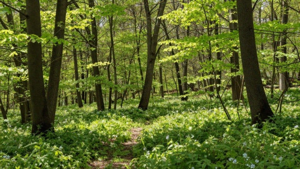 Jak warunki środowiskowe wpływają na przeżywalność koźląt?