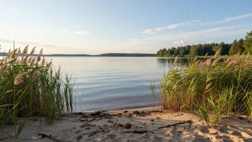 Gdzie znaleźć dzikie plaże i kąpieliska na Kaszubach?