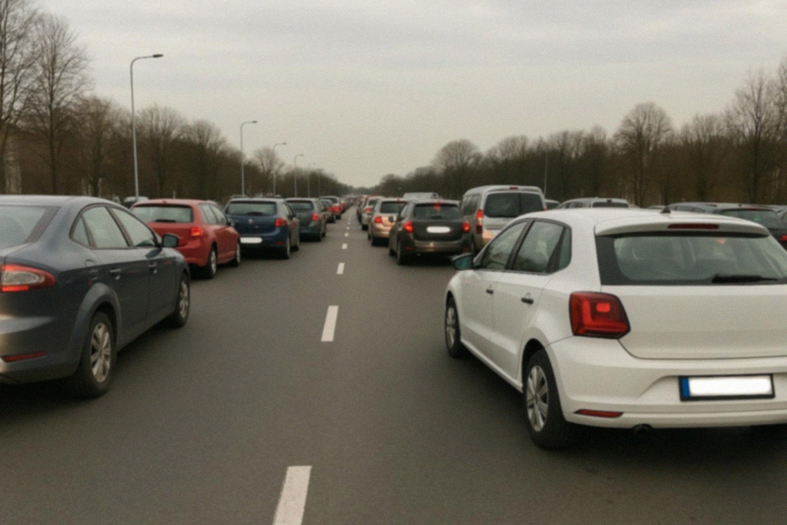 Deratyzacja w Parku ABC przy ul. Wańkowicza