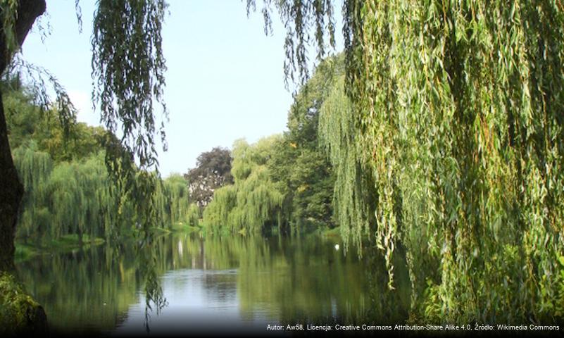 Park przy Amfiteatrze w Koszalinie